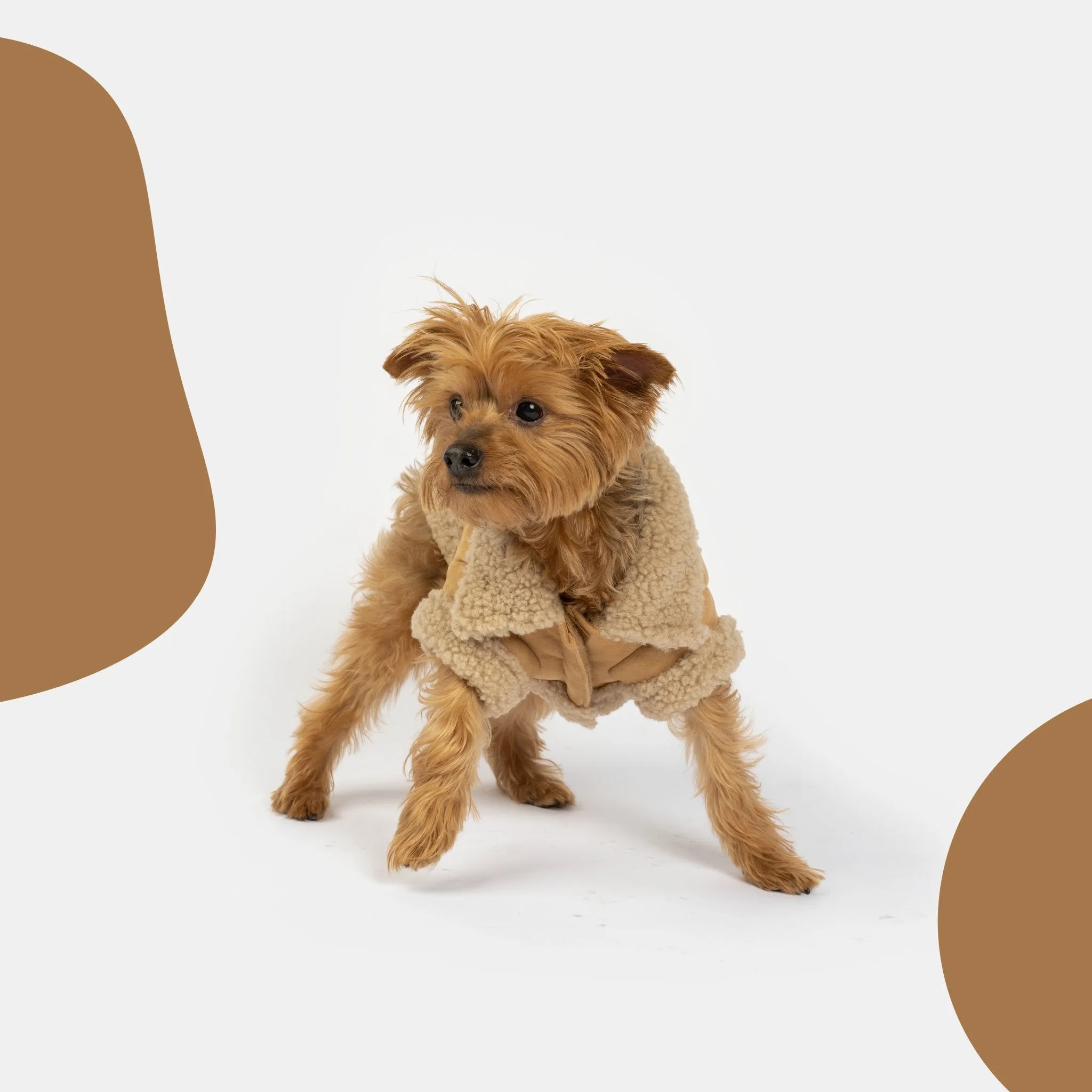 👜 Millie Dog Jacket – Vegan Suede with Sherpa Trim & Poop Bag Dispenser