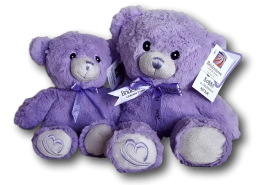 Baby Bobbie Cuddle Toy