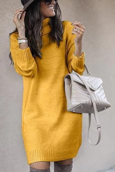 Dunnmall Casual Medium Length High Neck Sweater