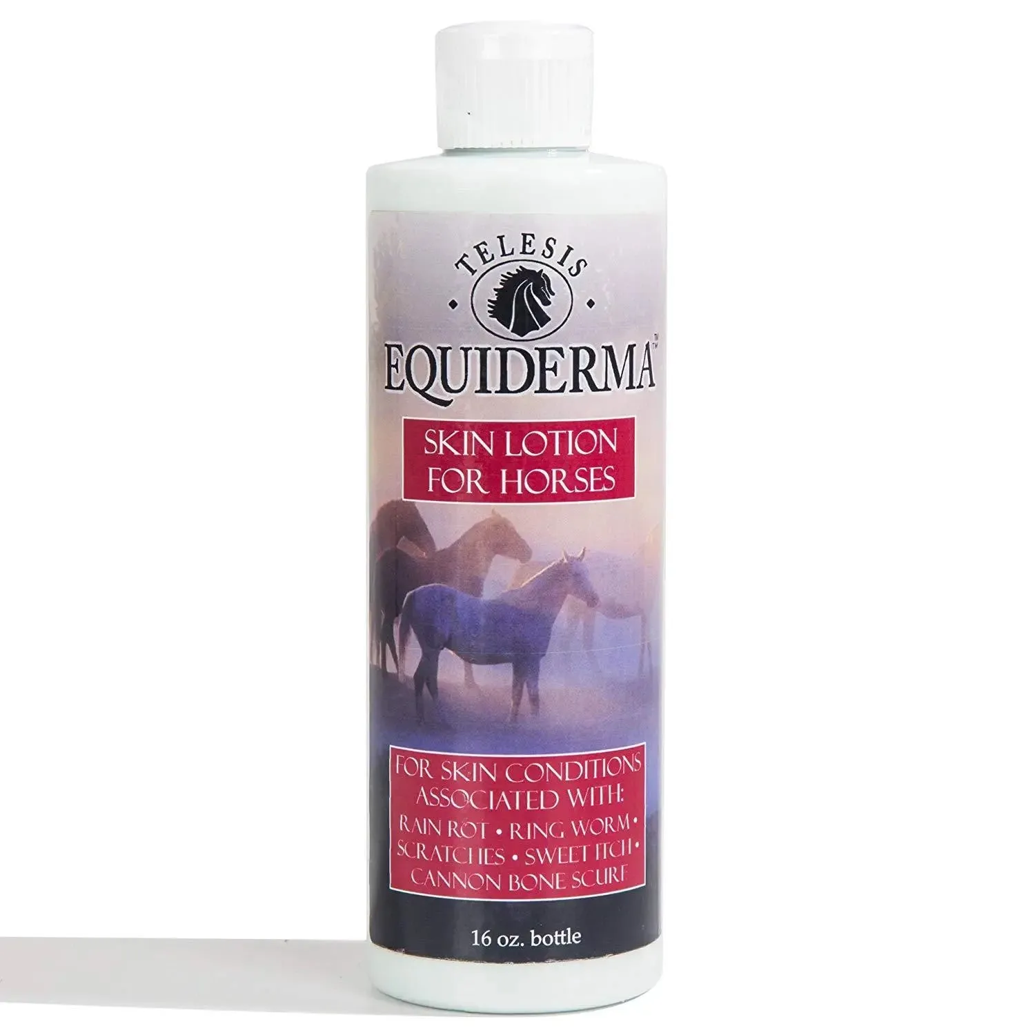 Equiderma Horse Skin Lotion for Rain Rot