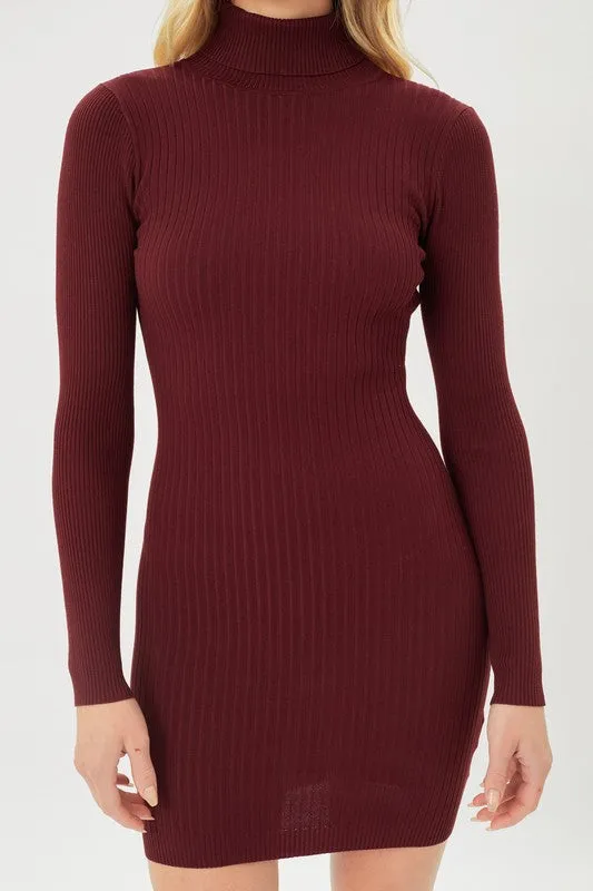 Fine Yarn Turtle Neck Dress