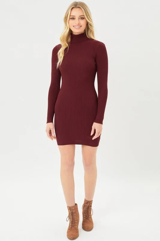 Fine Yarn Turtle Neck Dress