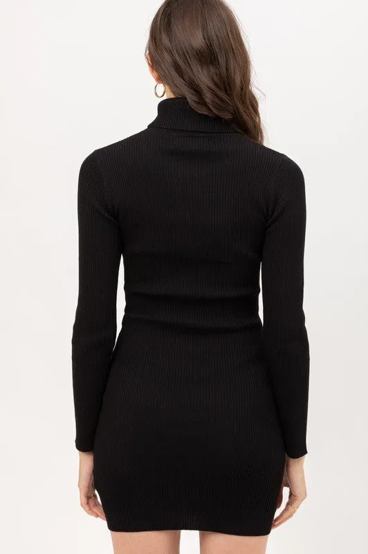 Fine Yarn Turtle Neck Dress