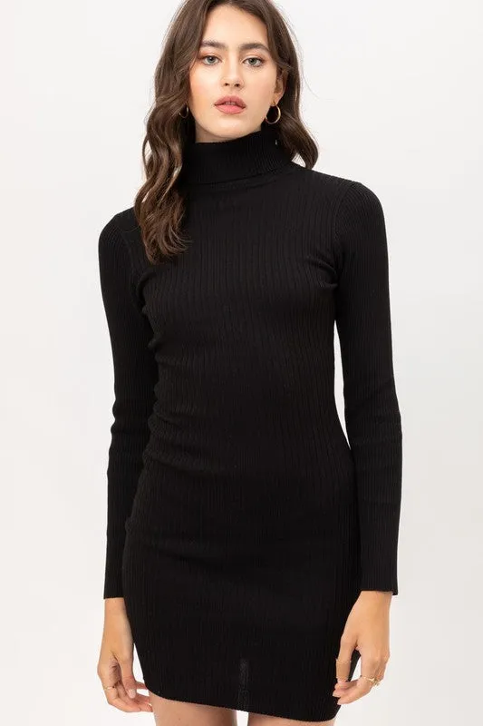 Fine Yarn Turtle Neck Dress