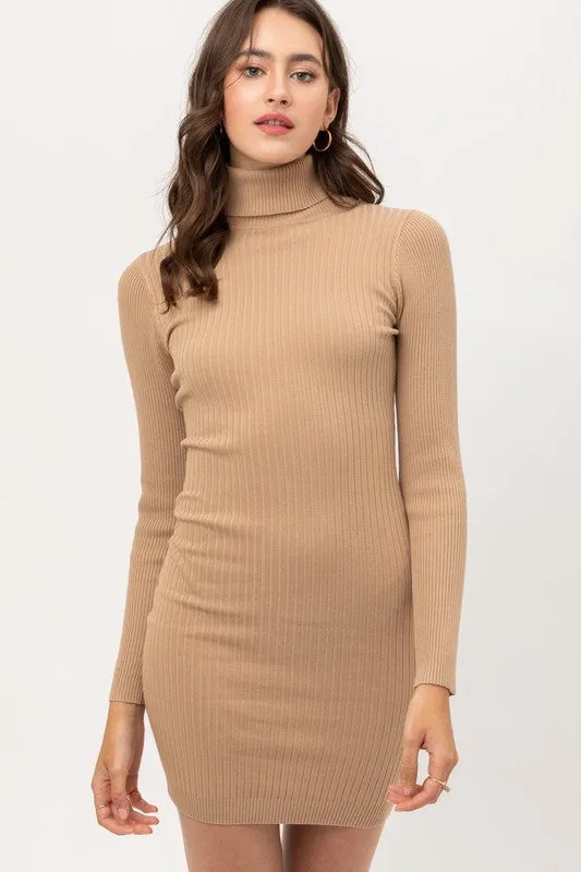 Fine Yarn Turtle Neck Dress
