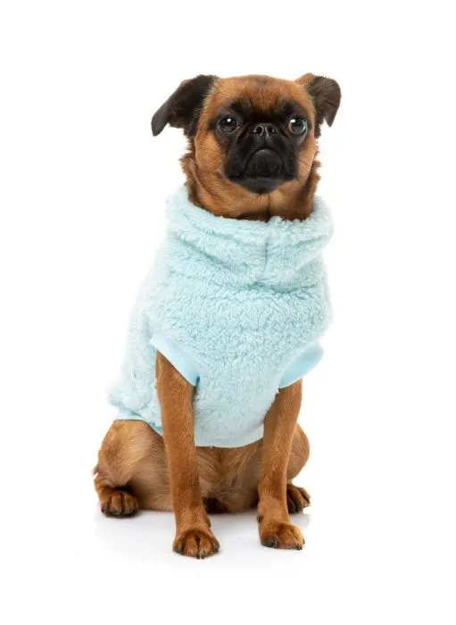 FUZZYARD TURTLE TEDDY SWEATER : ARCTIC ICE