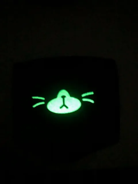 Glow in Dark Fashion Face Face Mask