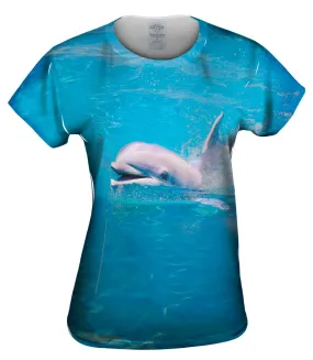 Happy Dolphin