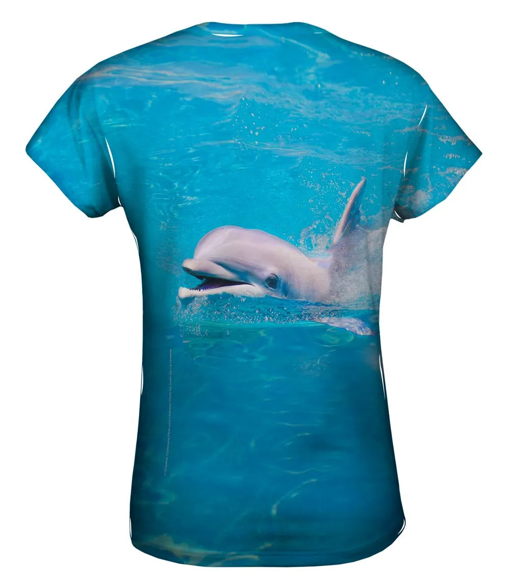 Happy Dolphin