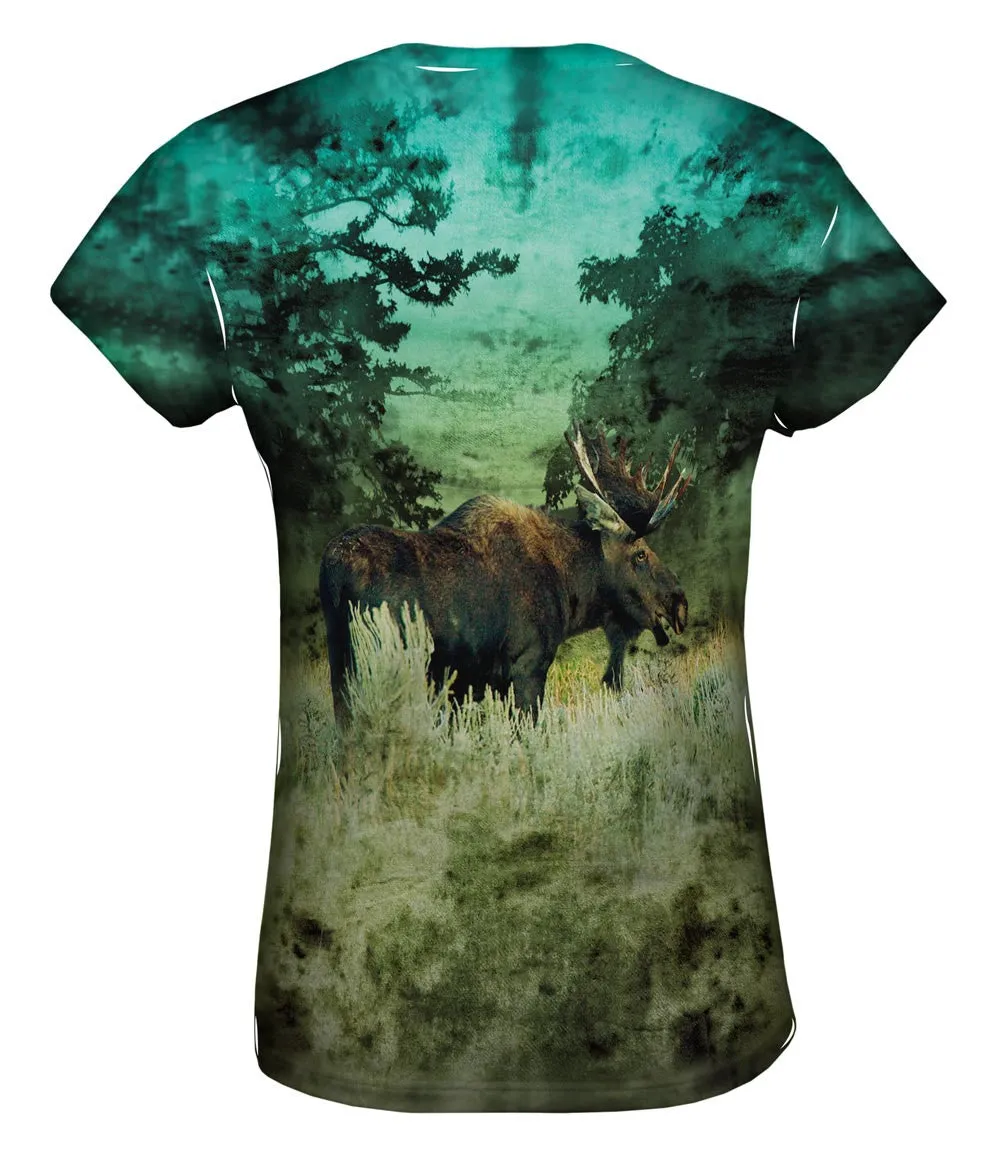 Lone Moose