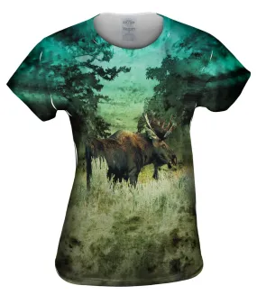 Lone Moose