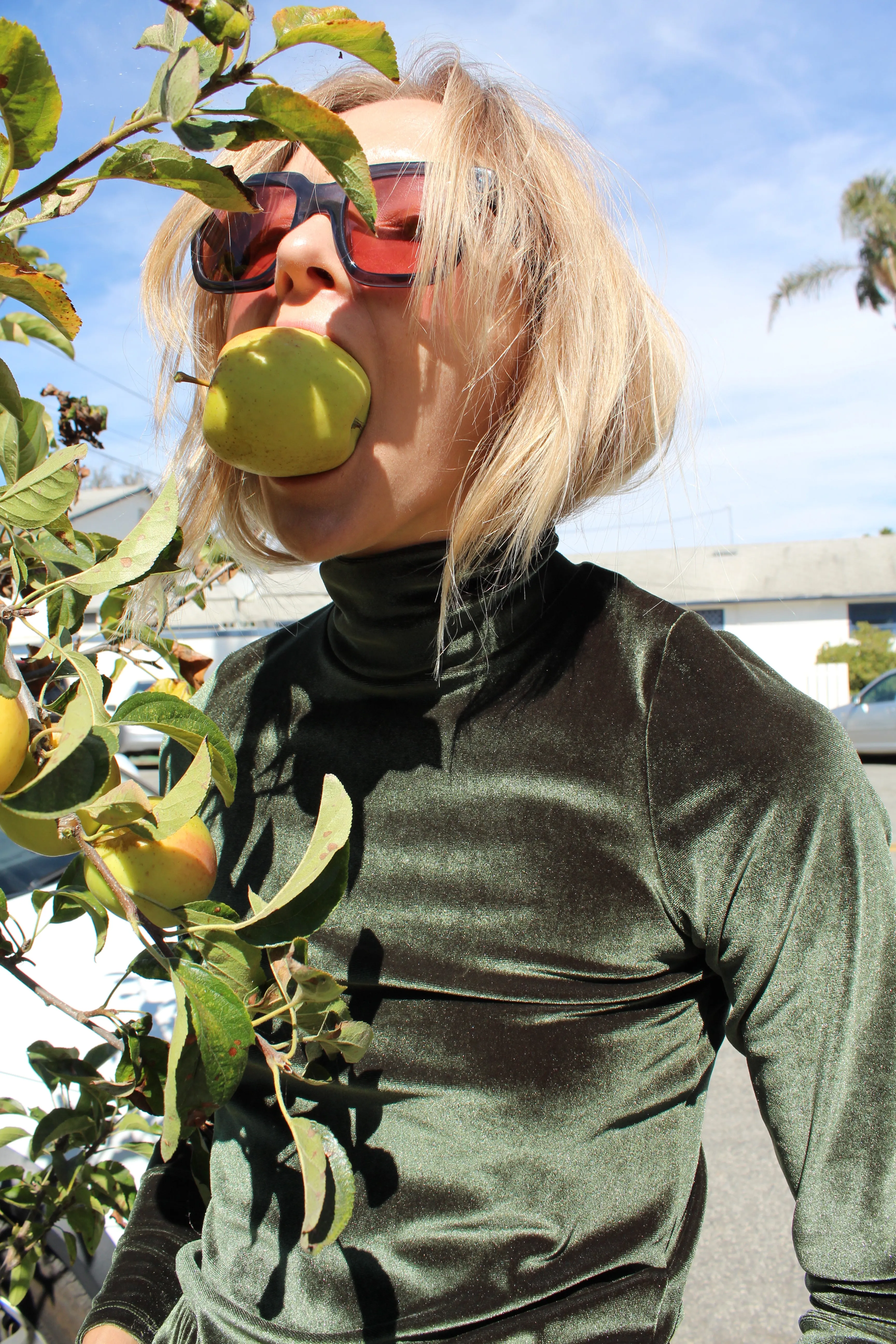 No.6 Ruffle Gloria Turtleneck Forest Velvet