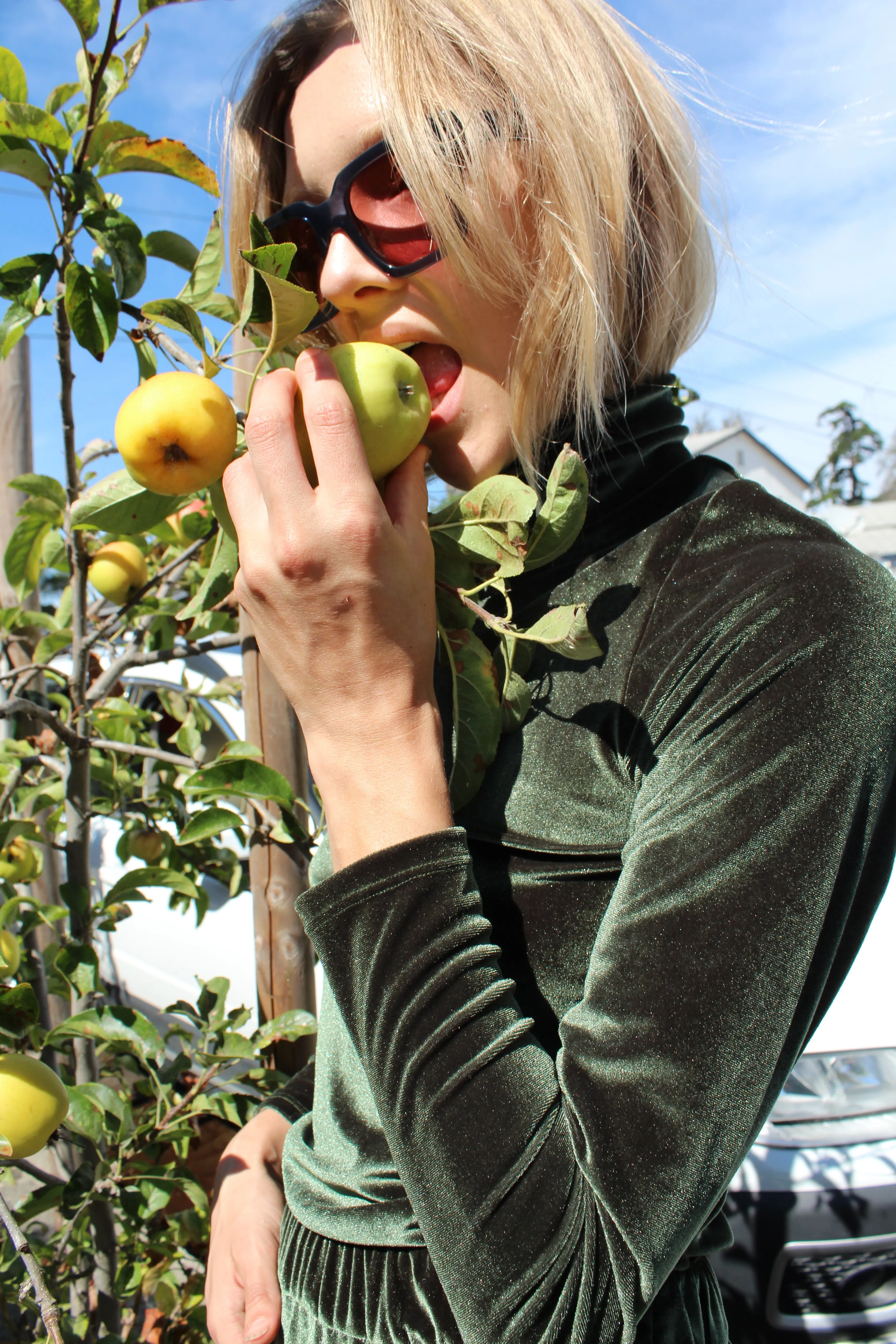 No.6 Ruffle Gloria Turtleneck Forest Velvet