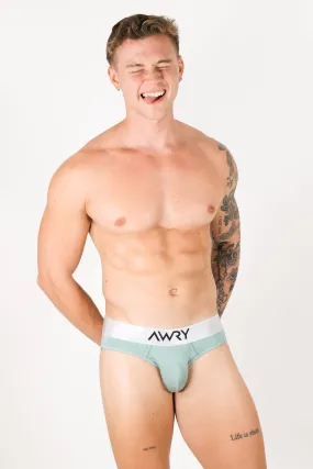 POCKET Briefs - Sage
