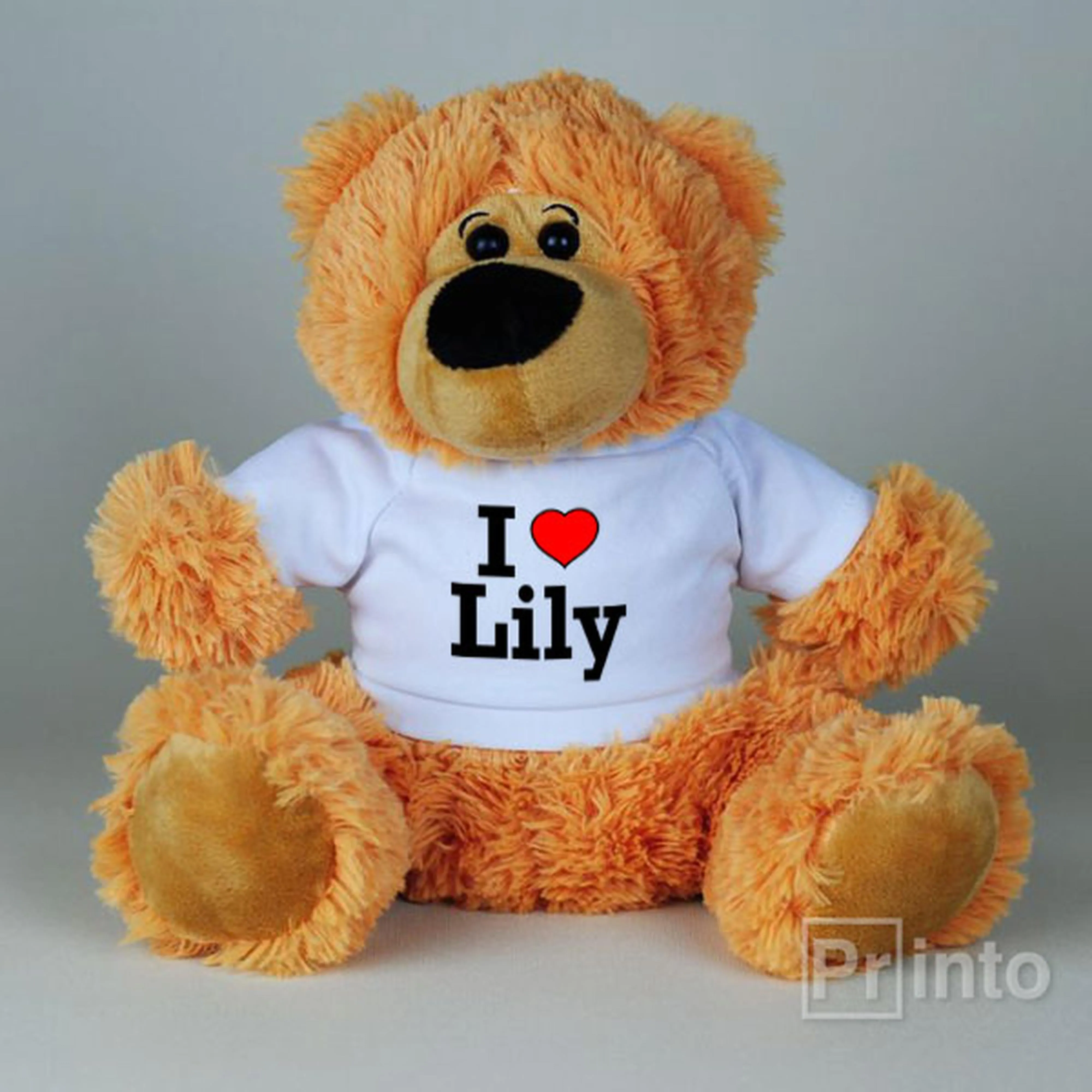 Soft brown Teddy Bear toy - I love Lily