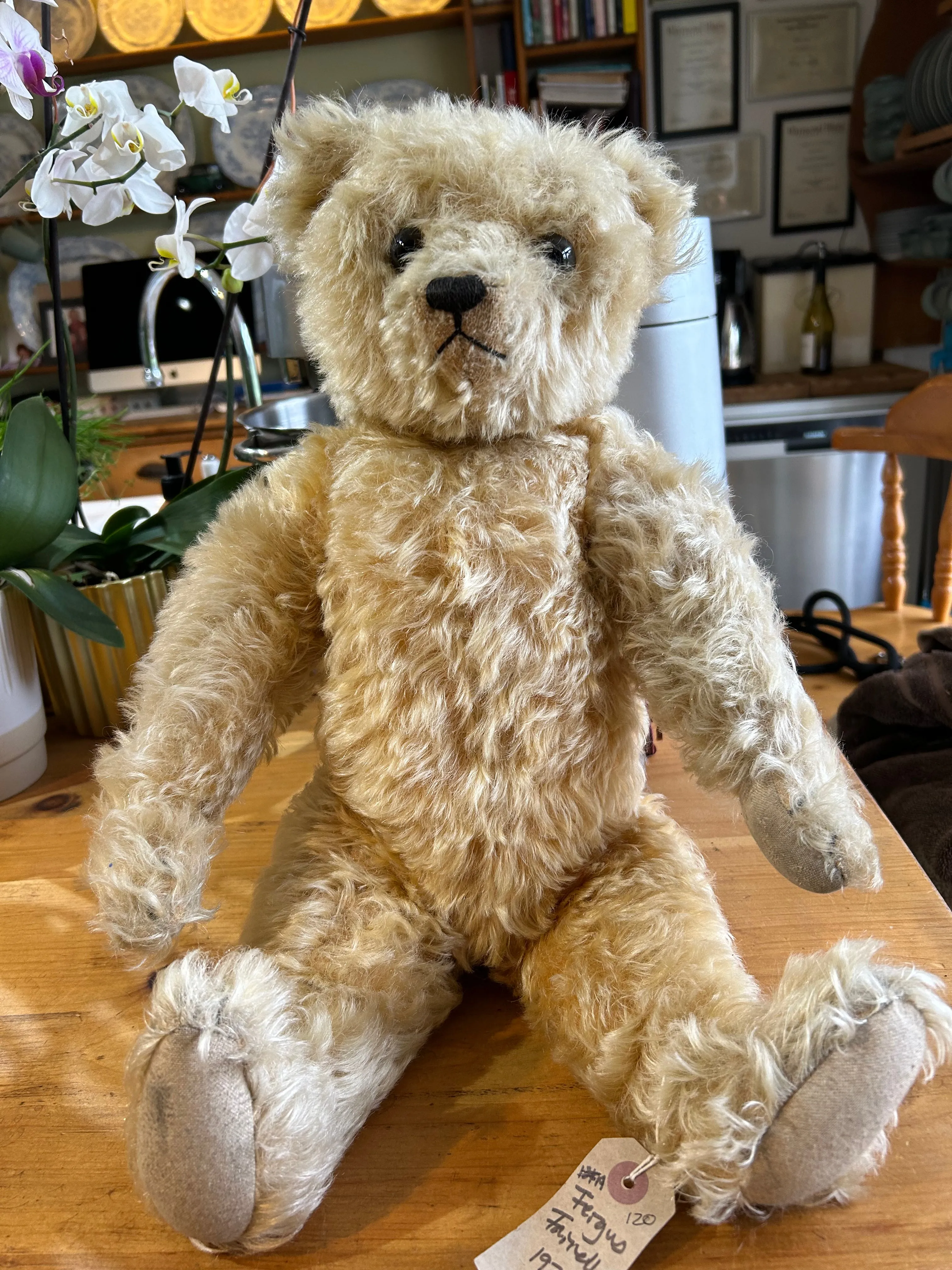Sold (1930) 20" Fergus For sale £550