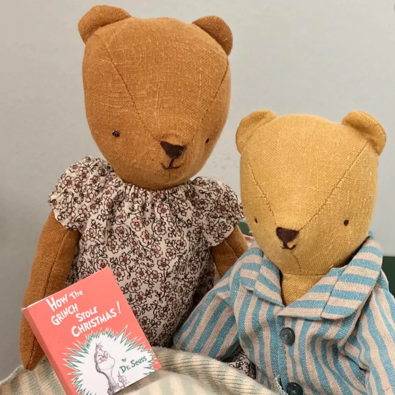 TEDDY JUNIOR