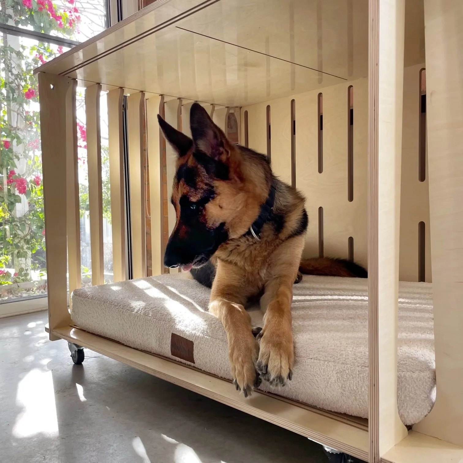 Teddy the Designer Dog Crate
